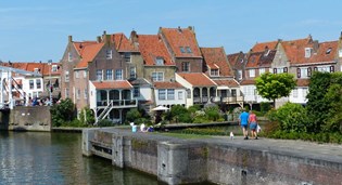 Biodiversiteit in de stad 