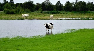 Subsidie voor verbetering Noord-Hollands water