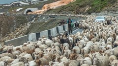 Lezingavond Oost Georgië en Armenië