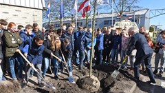 Boomfeestdag voor het plezier en een gezonde wereld