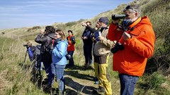 Bedreigde broedvogels winnaar Texel Big Day