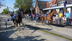 Maximaal aantal paarden op Wognumse klinkers