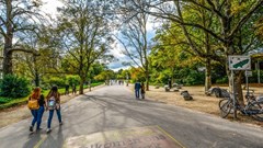 Het Vondelpark en duinen populair in Noord-Holland