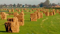 Aandacht voor natuur en milieu op provinciegrond