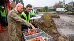 Opnieuw graven naar klooster Bethlehem in Blokker