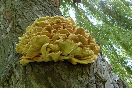 Herfst in het Zanddepot 