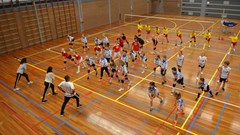 Basisscholen strijden om volleybaltitel
