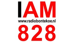 Radio Bontekoe met nieuwe programma's